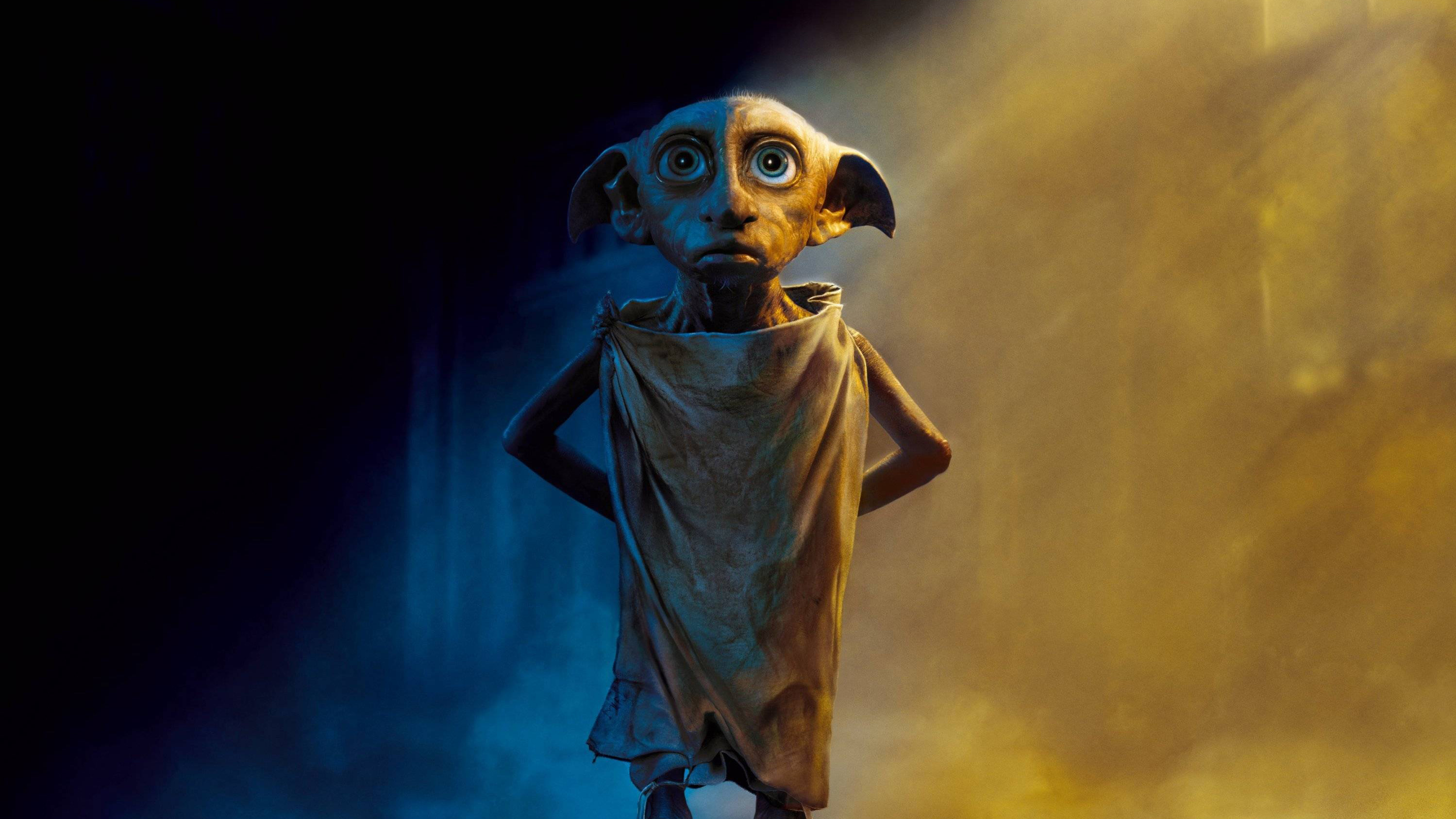 Harry Potter Season 2 Casts Dobby, Tom Riddle and a New Ginny Weasley