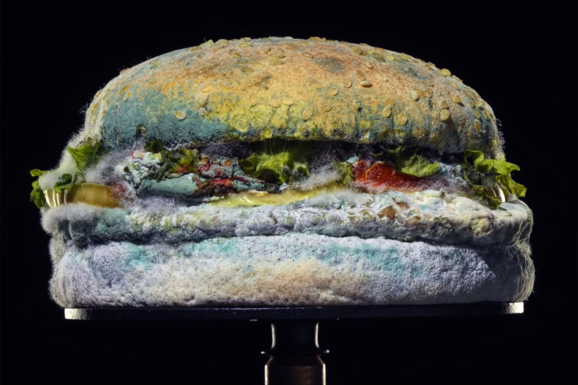 Take a bite out of this new Burger King ad