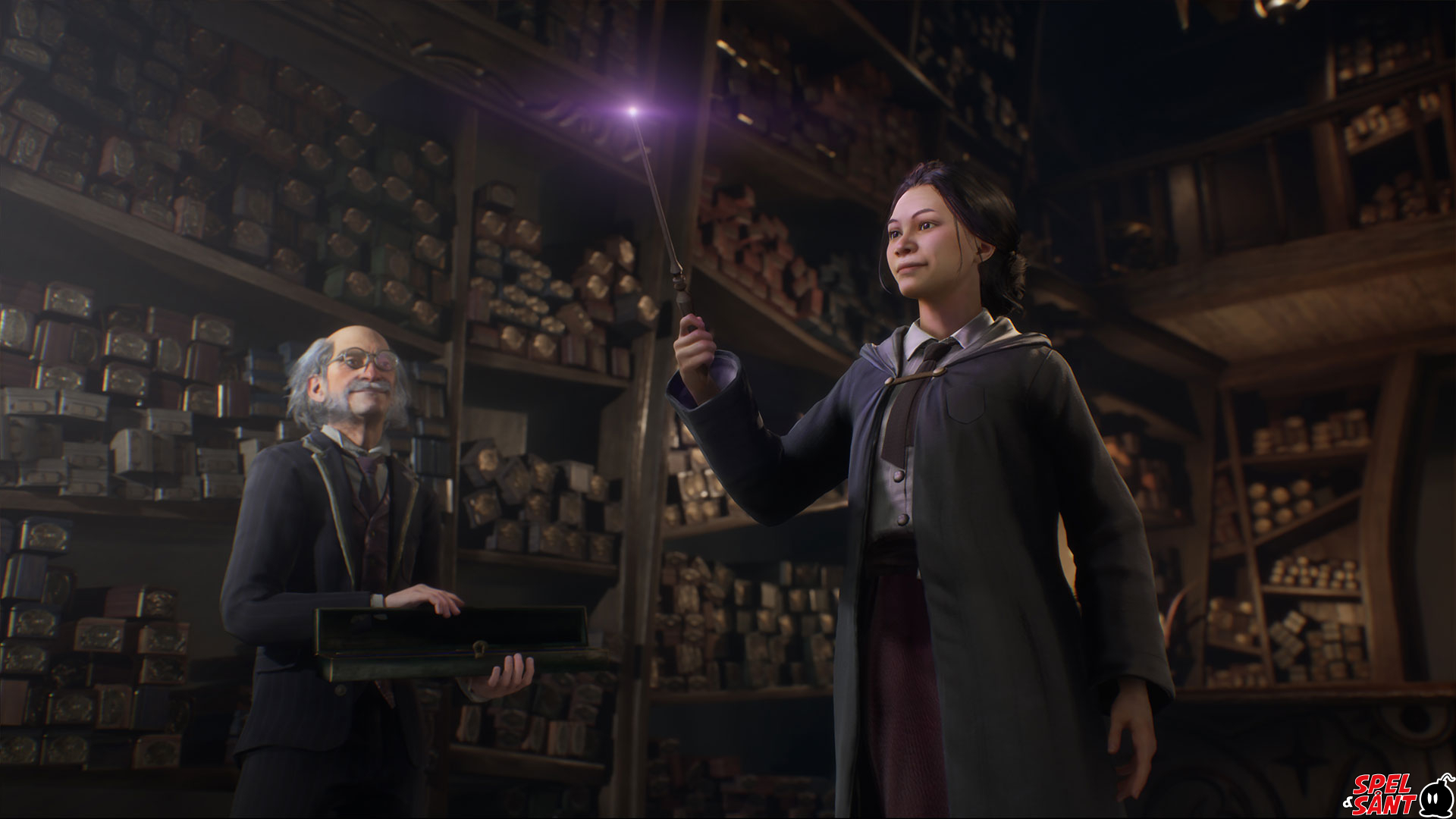 Hogwarts Legacy Banned by Games Done Quick